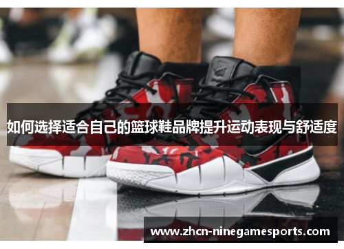 如何选择适合自己的篮球鞋品牌提升运动表现与舒适度