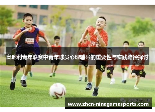 奥地利青年联赛中青年球员心理辅导的重要性与实践路径探讨