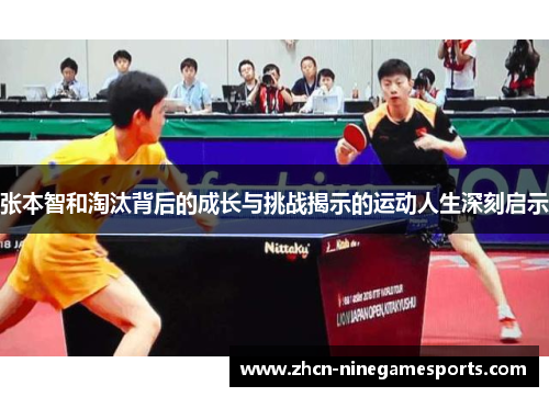 张本智和淘汰背后的成长与挑战揭示的运动人生深刻启示