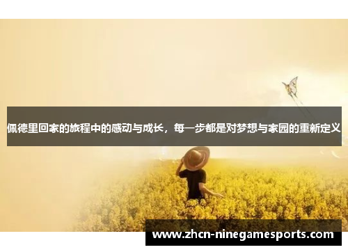 佩德里回家的旅程中的感动与成长，每一步都是对梦想与家园的重新定义